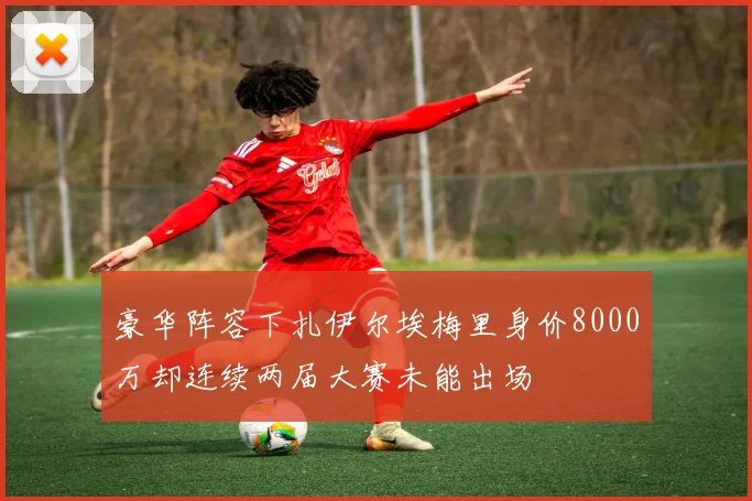 豪华阵容下扎伊尔埃梅里身价8000万却连续两届大赛未能出场
