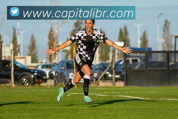 数据分析功能